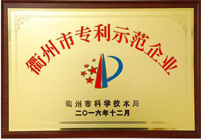 衢州市專利示范企業(yè)